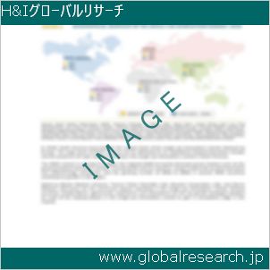 グローバルリサーチ調査レポートのイメージ